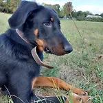 La Flambee Szálloda Bergerac